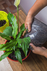 Similar image 21081415