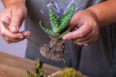 Similar image 21081822