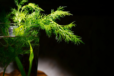 Similar image 21084815