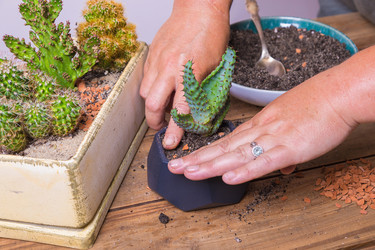 Similar image 21084820