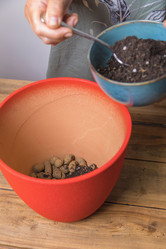 Similar image 21084827