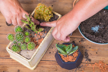 Similar image 21084828