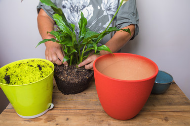 Similar image 21084831