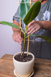 Similar image 21084832