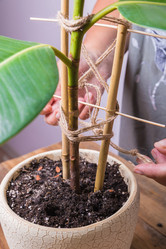 Similar image 21084836