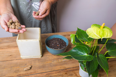 Similar image 21084839