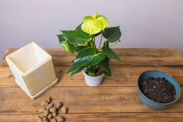 Similar image 21093368