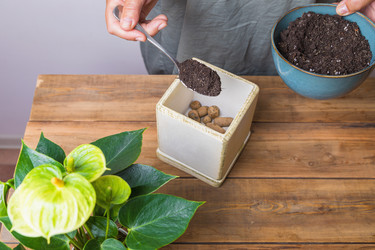 Similar image 21093388