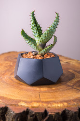 Similar image 21093389