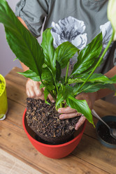 Similar image 21093411