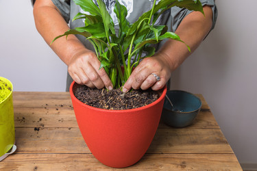 Similar image 21093428