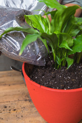 Similar image 21093430