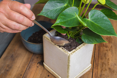 Similar image 21093487