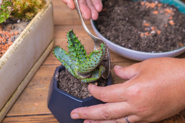 Similar image 21093489