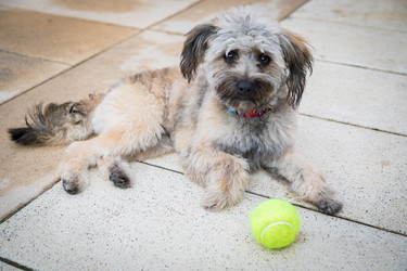 Similar image 21093493