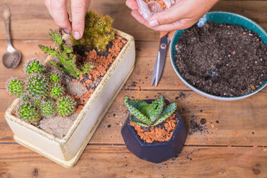 Similar image 21093499