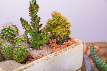 Similar image 21093501