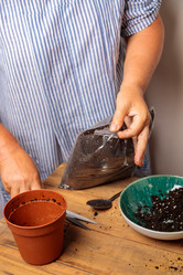 Similar image 21081416