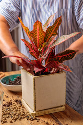 Similar image 21081742