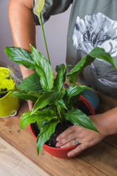 Similar image 21084858