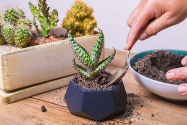 Similar image 21084860