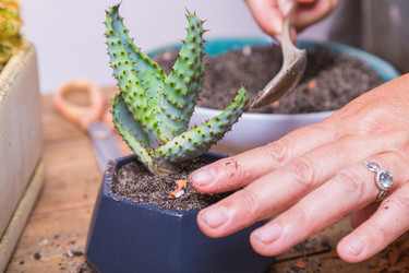 Similar image 21084861