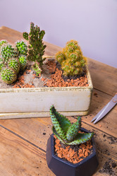 Similar image 21084862