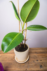 Similar image 21084863