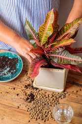 Similar image 21084870