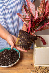 Similar image 21093376