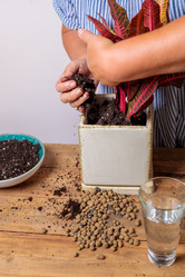 Similar image 21093394