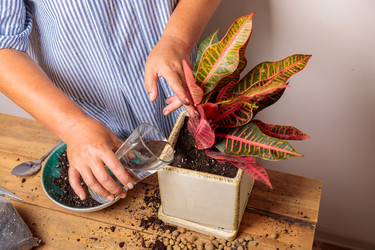 Similar image 21093416