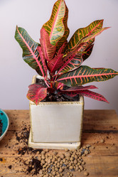 Similar image 21093436