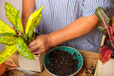 Similar image 21093438