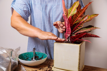 Similar image 21093442