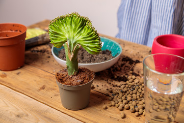 Similar image 21093472