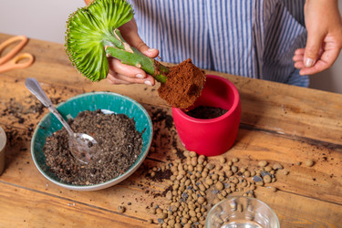 Similar image 21093474