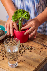 Similar image 21093503