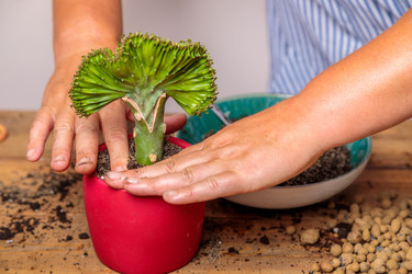 Similar image 21093507