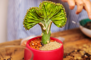 Similar image 21093509