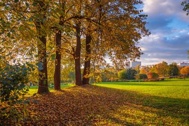 Similar image 21093420