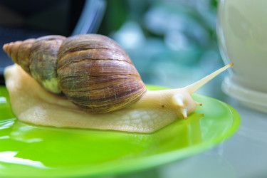 Similar image 21093517