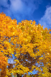 Similar image 21093518