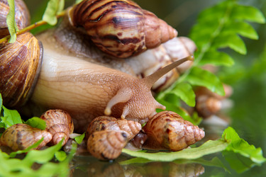 Similar image 21093521