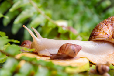 Similar image 21093524