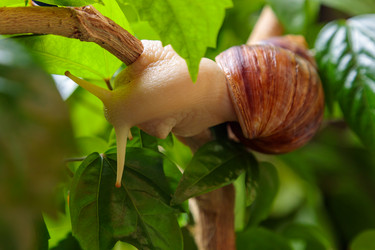 Similar image 21093565