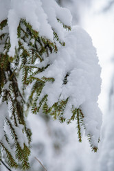 Similar image 21093530