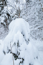 Similar image 21093570