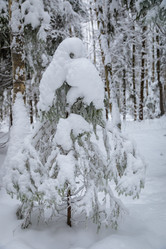 Similar image 21093575