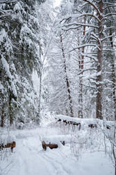 Similar image 21093576